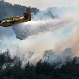 Le parc national de Dadia, dans l'est de la Grèce, est en feu depuis près de deux semaines. Selon les estimations de Bruxelles, il s'agit du plus grand incendie de forêt jamais enregistré dans l'Union européenne.